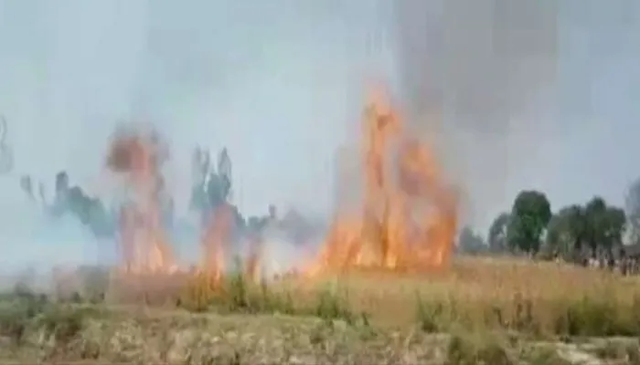 बाराबंकी: आग से 31 बीघा फसल जलकर हुई राख, किसानों की उम्मीदों पर फिरा पानी