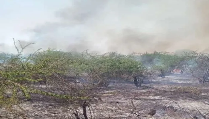 रायबरेली में आग की घटनाओं पर नहीं लग रहा विराम, तीन बीघे फसल व जंगल जलकर हुए राख!