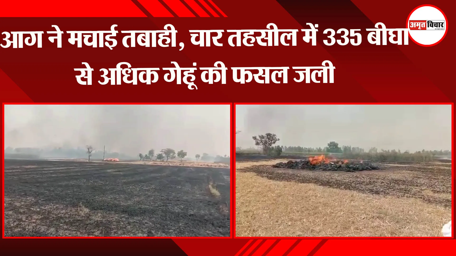 बहराइच: आग ने मचाई तबाही, चार तहसील में 335 बीघा से अधिक गेहूं की फसल जली