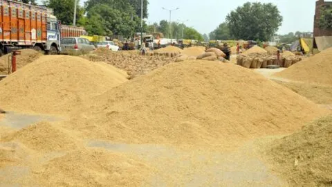 जसपुर: बकाया भुगतान को लेकर चल रहा किसानों का आंदोलन समाप्त