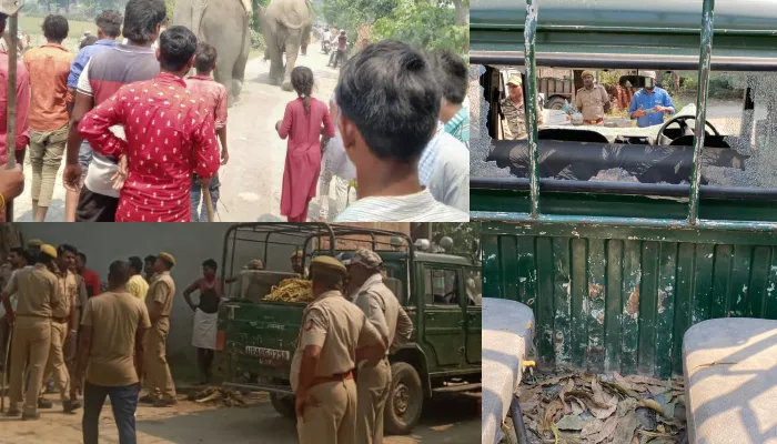 बहराइच: तेंदुए को पीटकर मारने के मामले में 14 नामजद और सैकड़ों अज्ञात के खिलाफ मुकदमा दर्ज