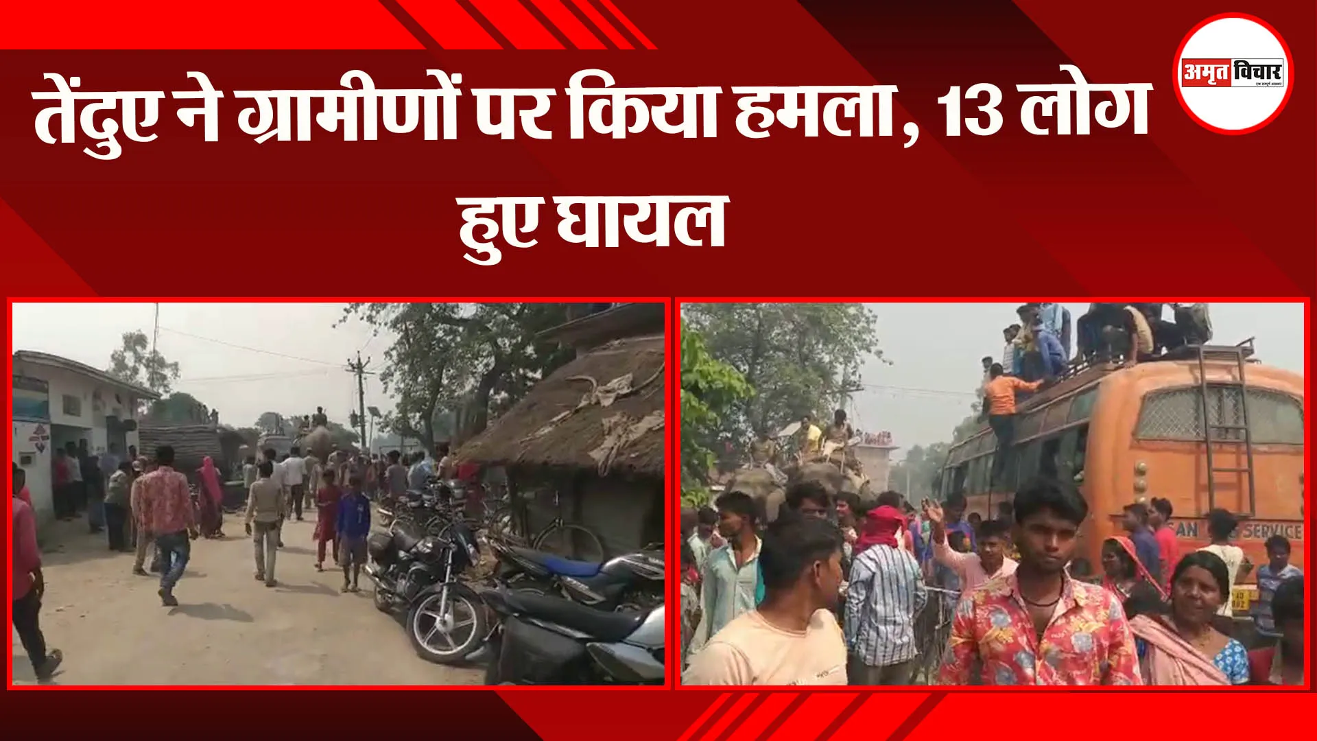 बहराइच: तेंदुए ने ग्रामीणों पर किया हमला, 13 लोग हुए घायल