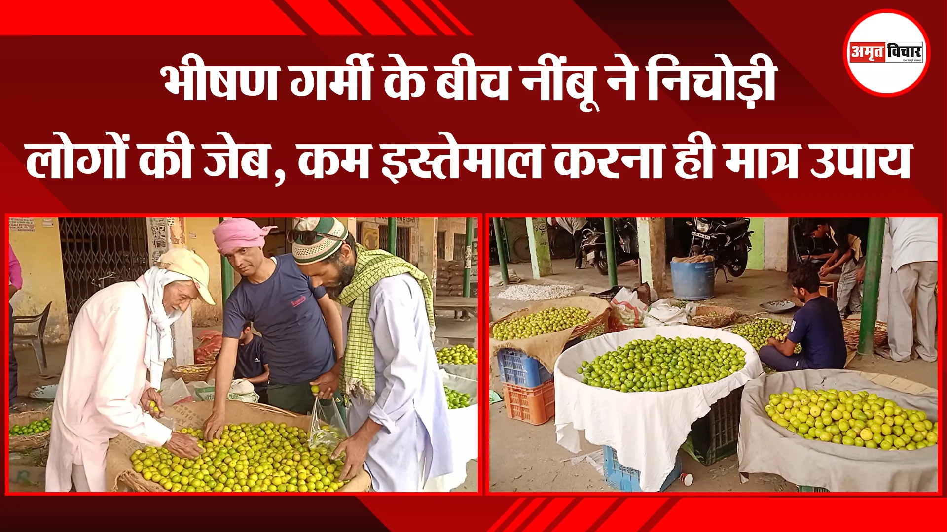 बरेली: भीषण गर्मी के बीच नींबू ने निचोड़ी लोगों की जेब, कम इस्तेमाल करना ही मात्र उपाय