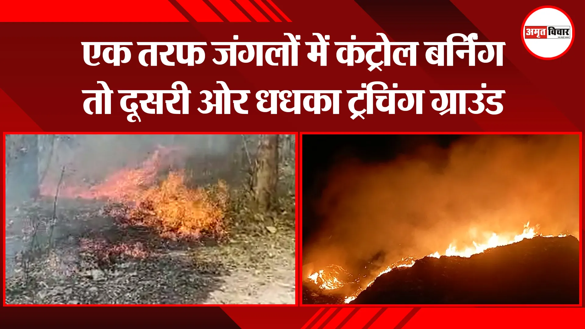 हल्द्वानी: एक तरफ जंगलों में कंट्रोल बर्निंग तो दूसरी ओर धधका ट्रंचिंग ग्राउंड
