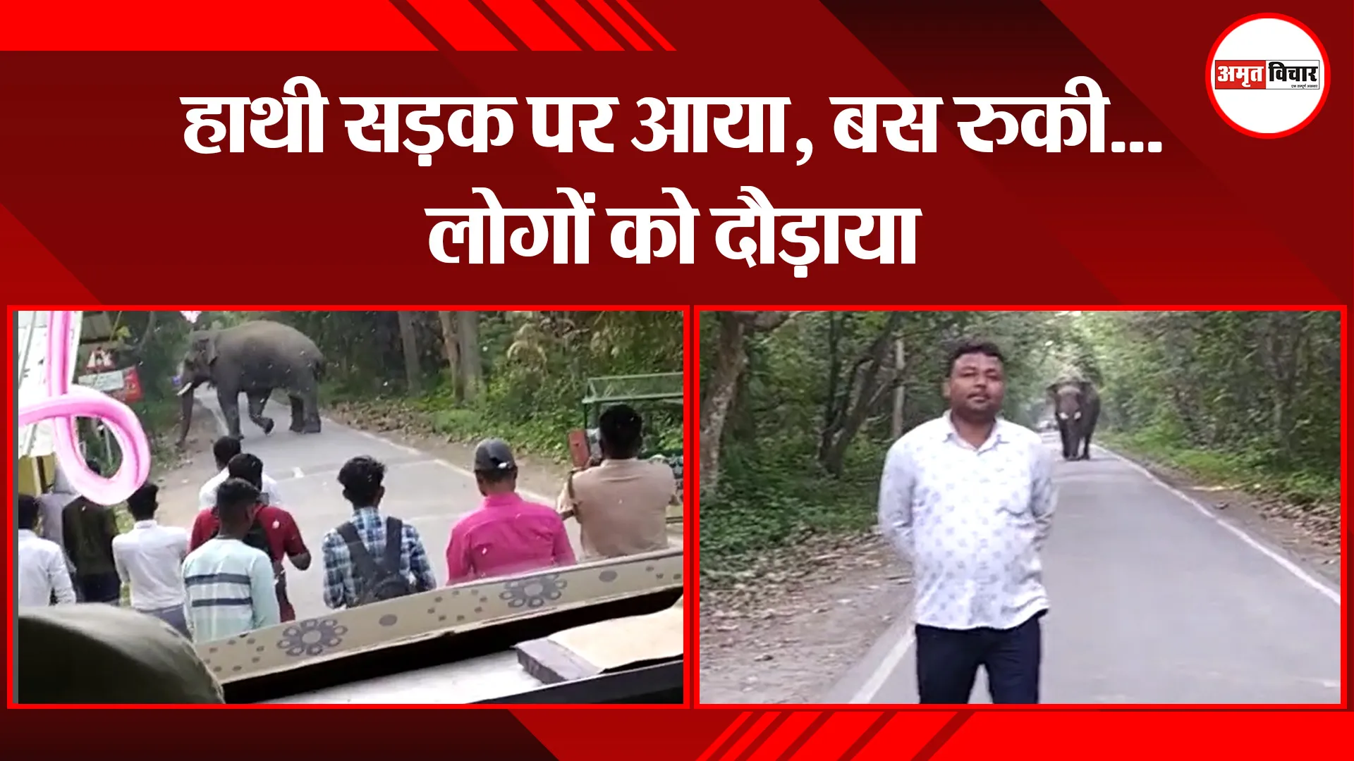 बहराइच: हाथी सड़क पर आया, बस रुकी…लोगों को दौड़ाया