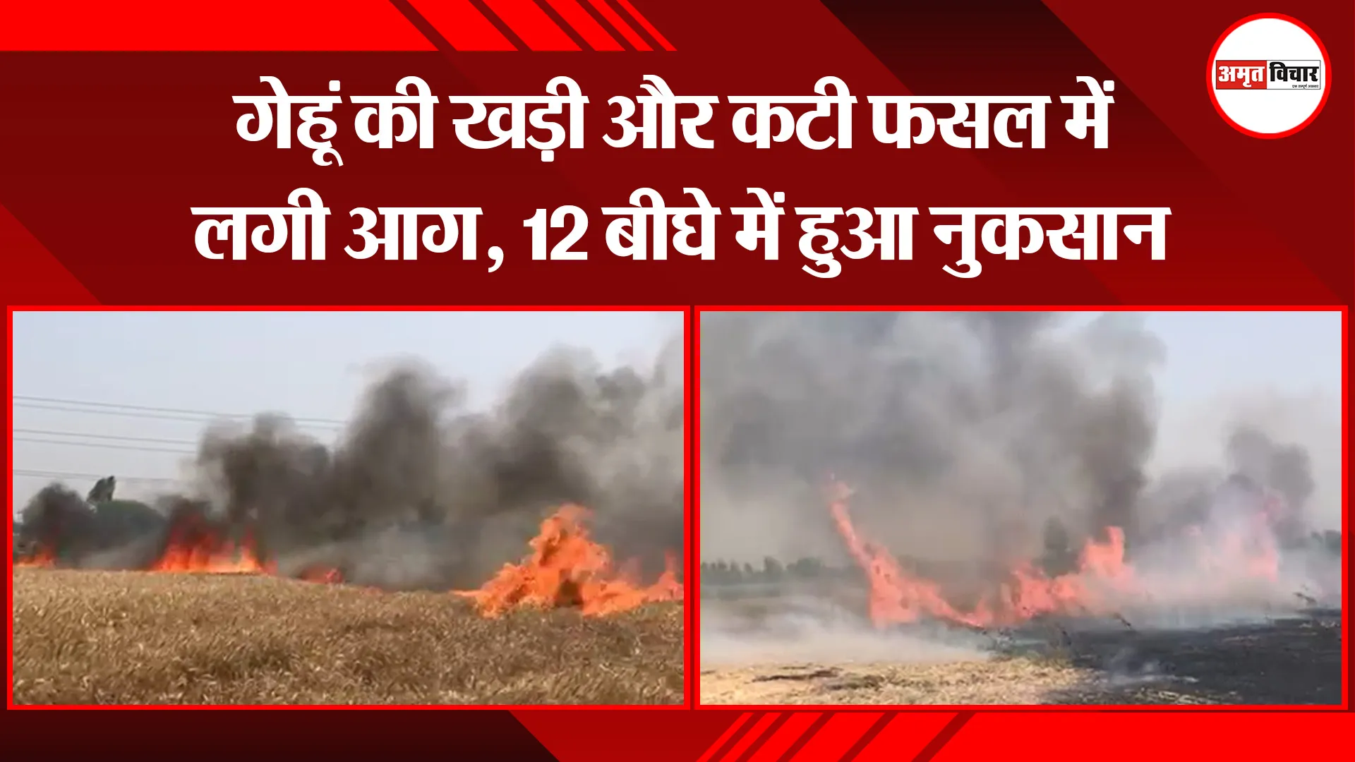 बरेली: गेहूं की खड़ी और कटी फसल में लगी आग, 12 बीघे में हुआ नुकसान