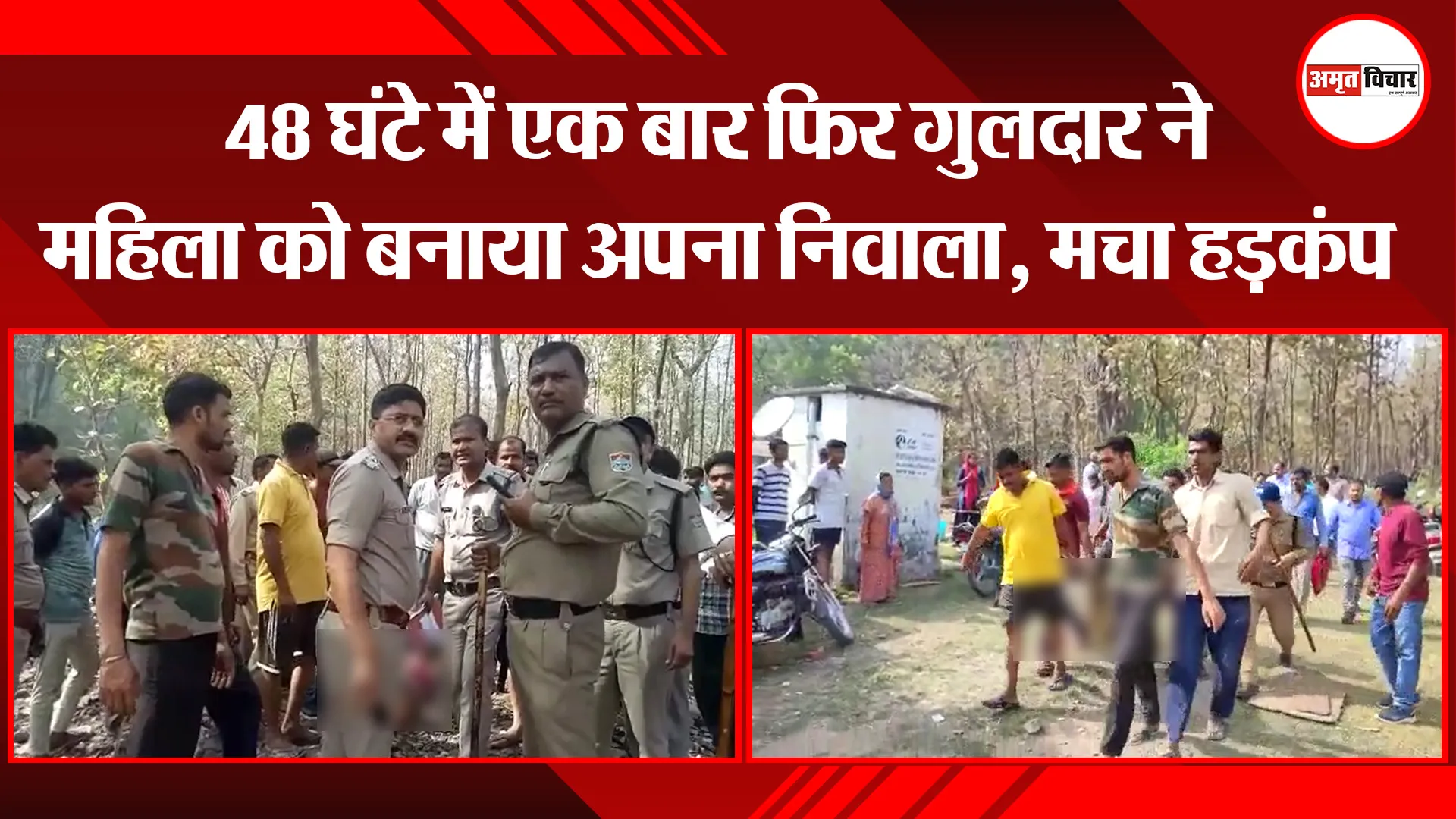 हल्द्वानी: 48 घंटे में एक बार फिर गुलदार ने महिला को बनाया अपना निवाला, मचा हड़कंप