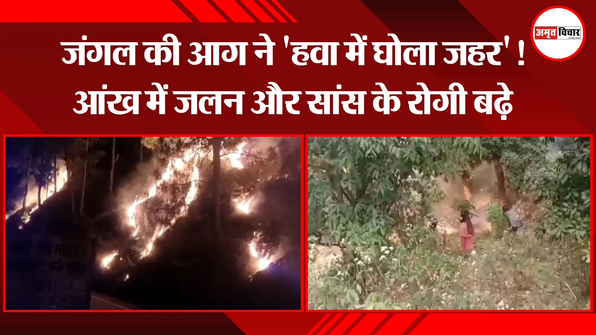अल्मोड़ा: जंगल की आग ने ‘हवा में घोला जहर’! सांस और आंख में जलन के रोगी बढ़े