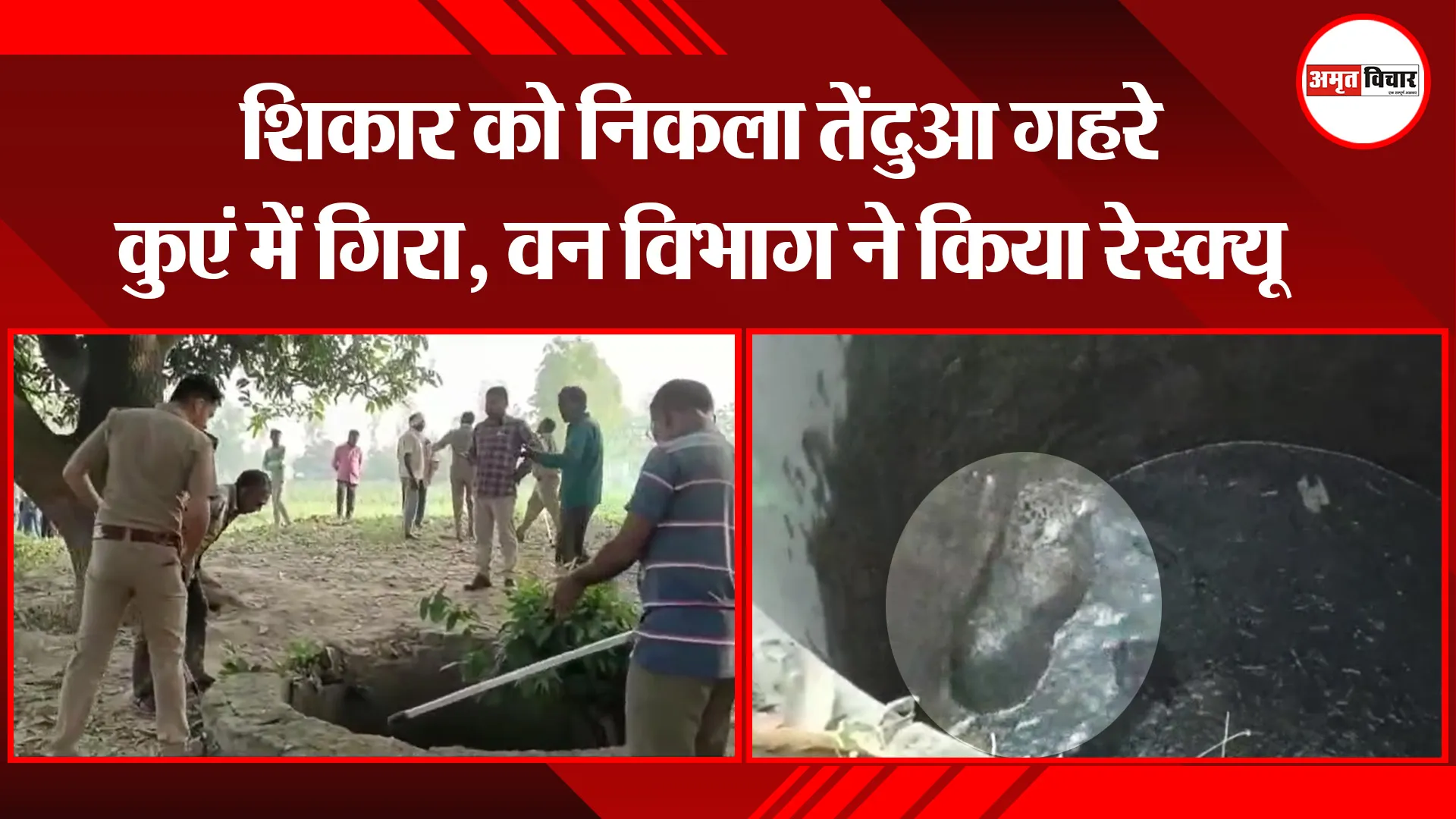 मुरादाबाद: शिकार को निकला तेंदुआ गहरे कुएं में गिरा, वन विभाग ने किया रेस्क्यू