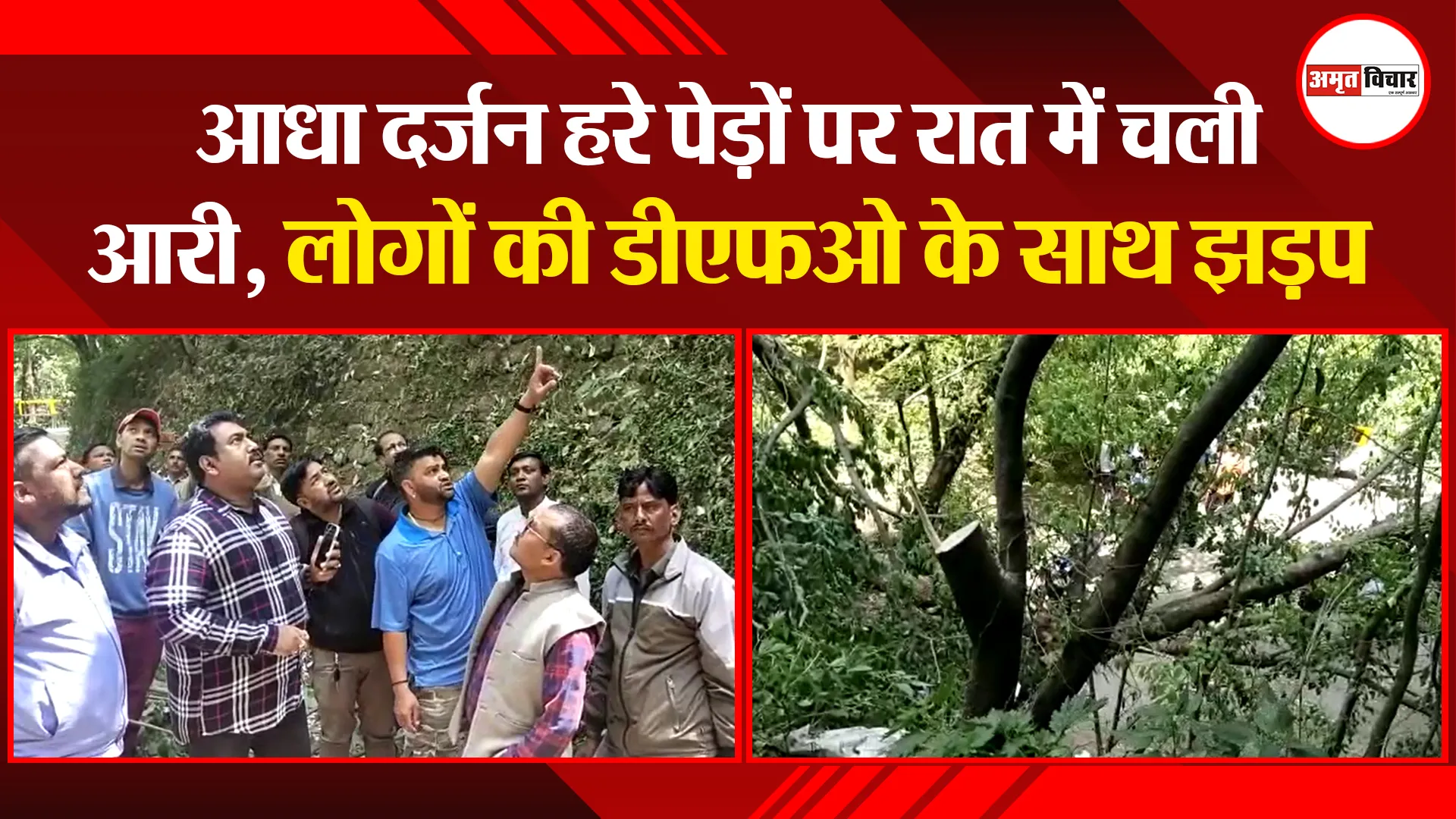 नैनीताल: आधा दर्जन हरे पेड़ों पर रात में चली आरी, लोगों की डीएफओ के साथ झड़प