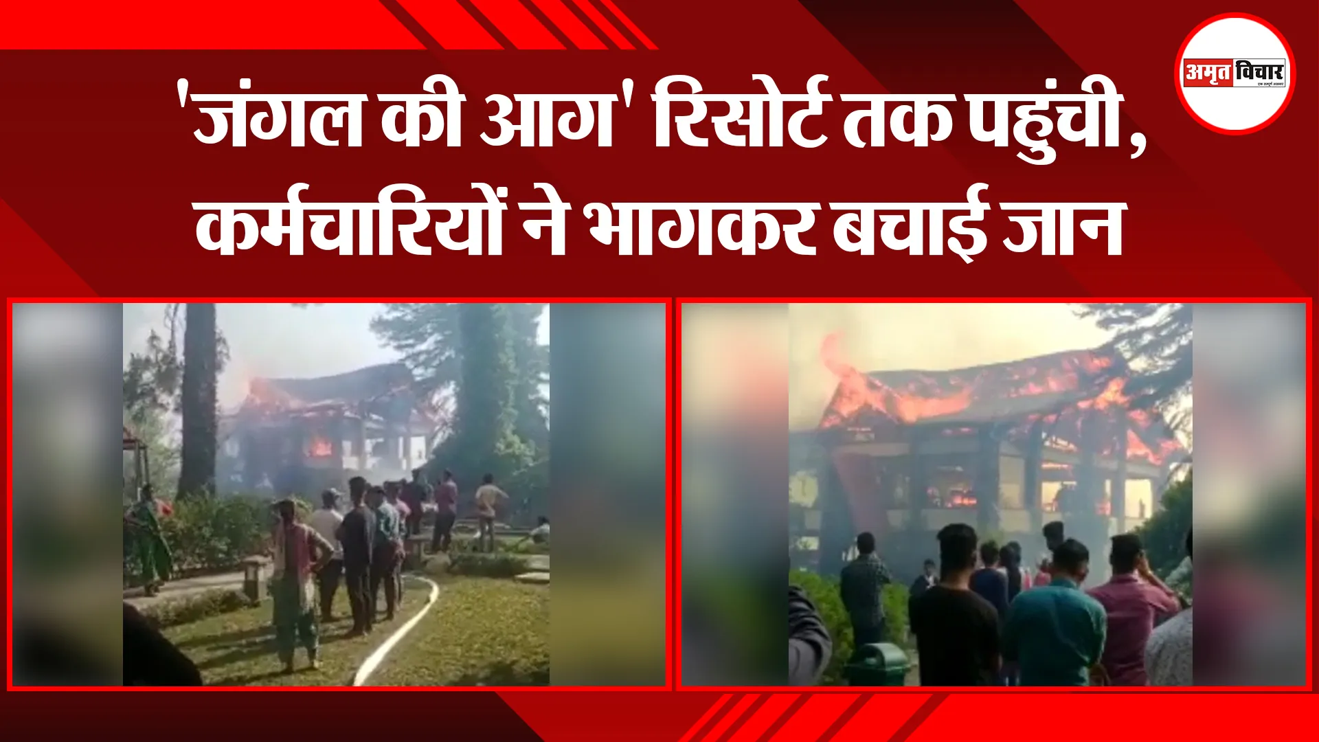 अल्मोड़ा: ‘जंगल की आग’ रिसोर्ट तक पहुंची, कर्मचारियों ने भागकर बचाई जान