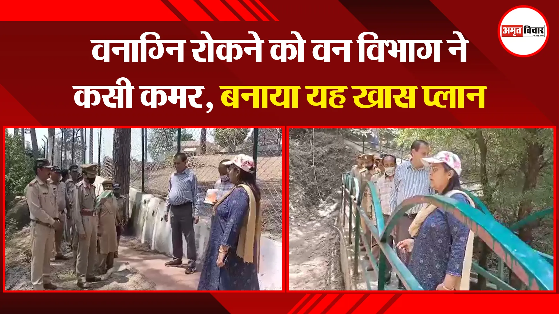 अल्मोड़ा: वनाग्नि रोकने को वन विभाग ने कसी कमर, बनाया यह खास प्लान