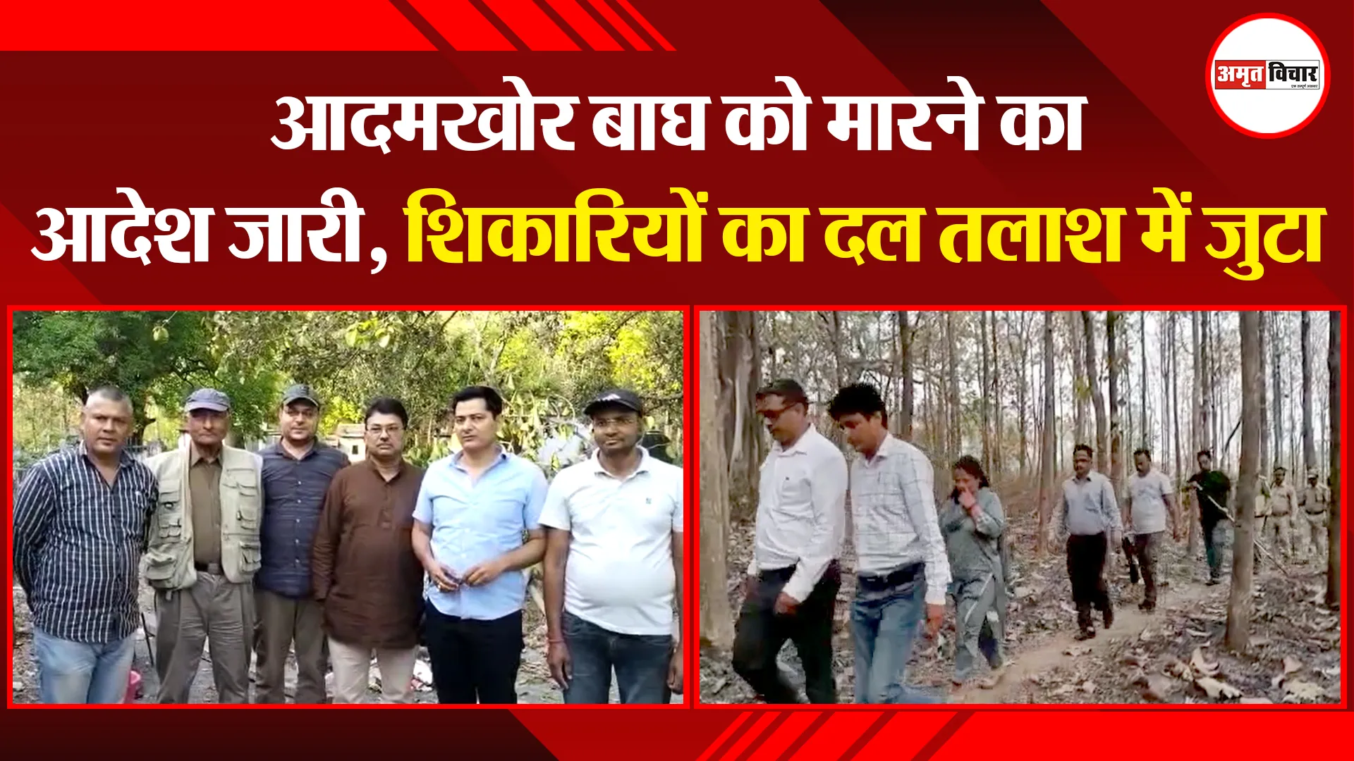 हल्द्वानी: आदमखोर बाघ को मारने का आदेश जारी, शिकारियों का दल तलाश में जुटा
