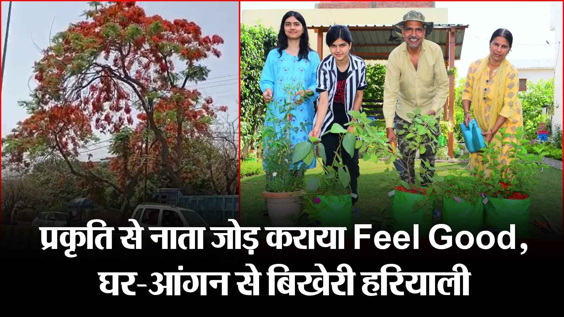 हल्द्वानी: प्रकृति से नाता जोड़ कराया Feel Good,घर-आंगन से बिखेरी हरियाली