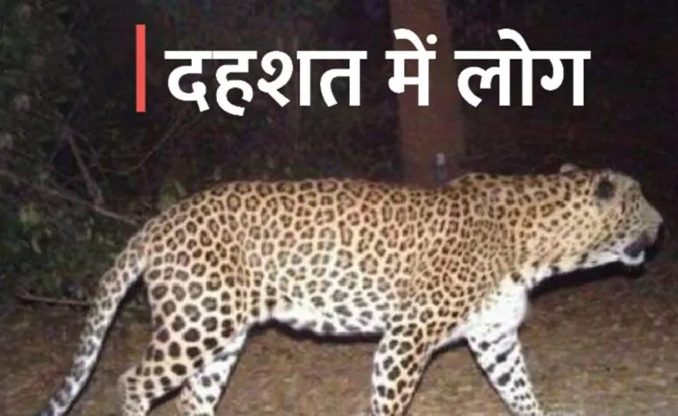 गरमपानी: बिरखन गांव में तेंदुए का आतंक, पिंजरा लगाने की मांग