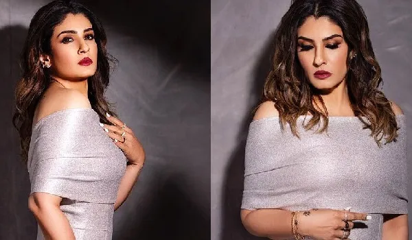Raveena Tandon Photos : सिल्वर ड्रेस में  रवीना टंडन ने फ्लॉन्ट किया कर्वी फिगर, फोटोशूट में दिखा दिलकश अंदाज