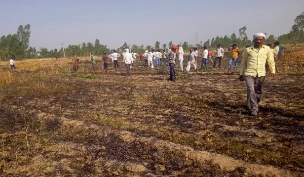 संभल: हाईटेंशन बिजली के तारों से निकली चिंगारी, 24 बीघा गेहूं की फसल जली