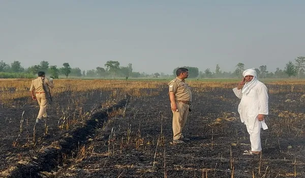 रामपुर: गेहूं के खेत में आग लगने से 20 बीघा फसल जलकर राख