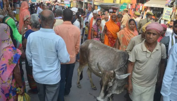 रामनवमी मेला: जगह-जगह फैली गंदगी, छुट्टा जानवर भी बने आफत