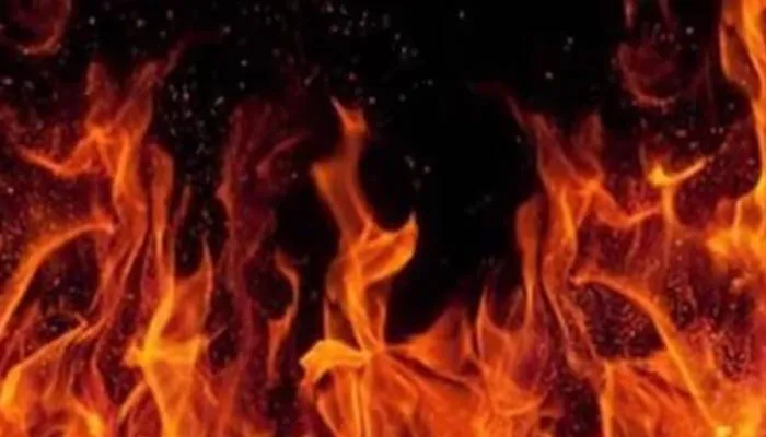 लखनऊ: सेवी ग्रैंड होटल में लगी भीषण आग, 6 दमकल गाड़ियां मौके पर