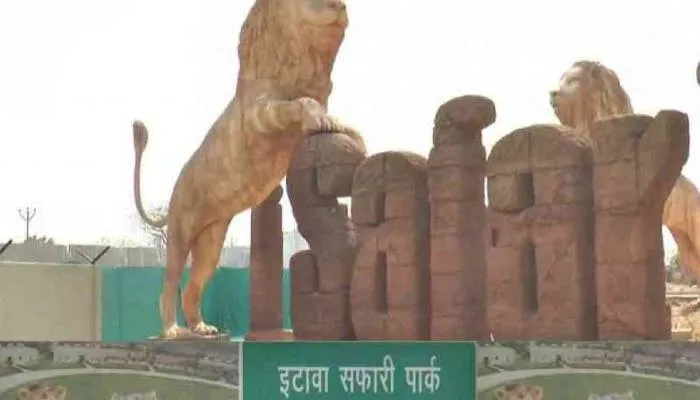 इटावा: आसमान से बरसी आग, सफारी पार्क में पसरा सन्नाटा