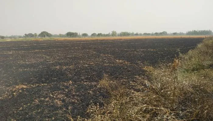 बहराइच: अज्ञात कारणों से लगी आग, 25 बीघा गेहूं की फसल जलकर हुई राख