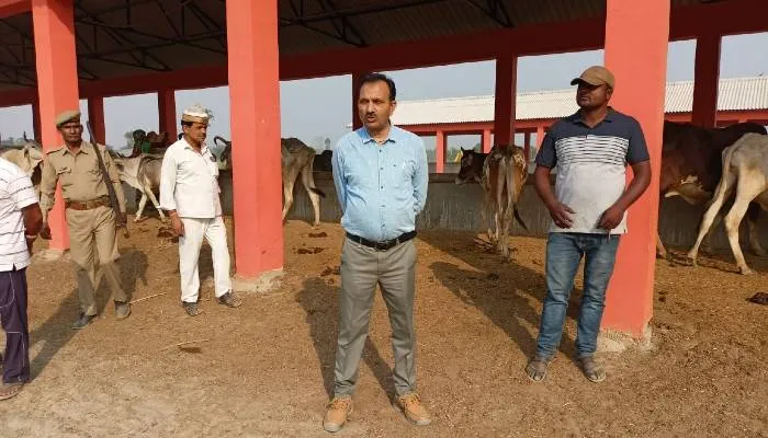 बहराइच: एसडीएम ने गौशाला का किया निरीक्षण, बेहतर व्यवस्था के दिये निर्देश