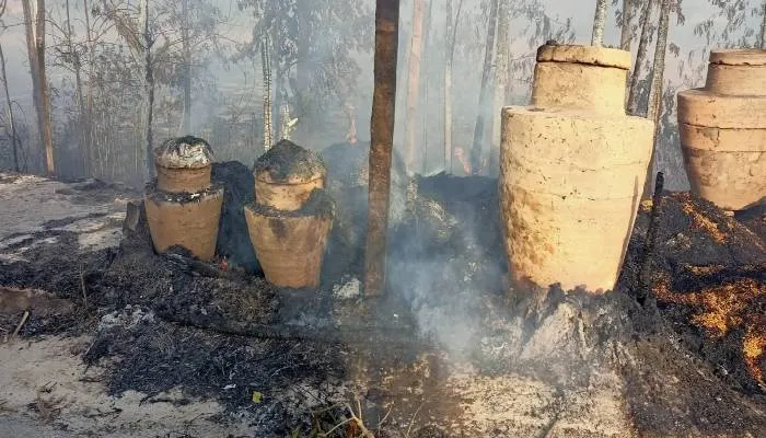 बहराइच: आग लगने से 13 मकान जलकर हुए राख, 30 बीघा गेहूं की फसल भी जली