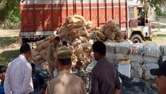 एसटीएफ ने पकड़ा तीन करोड़ का गांजा: आगरा के बाह से तीन तस्कर गिरफ्तार
