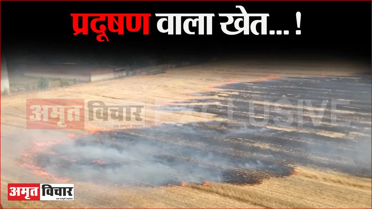 बरेली: जिला पंचायत अध्यक्ष रश्मि पटेल के खेत में फसल काटने के बाद अवशेष में लगाई आग, चारों ओर धुएं का गुबार, लोग हुए परेशान