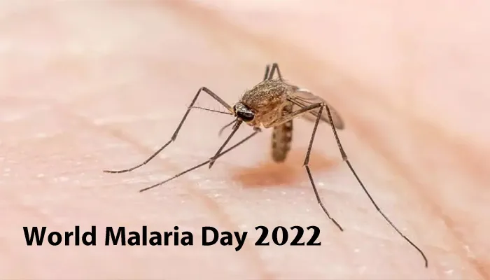 World Malaria Day 2022: आपके शरीर के इन हिस्सों को बुरी तरह डैमेज कर सकता है मलेरिया, जानें कैसे करें बचाव