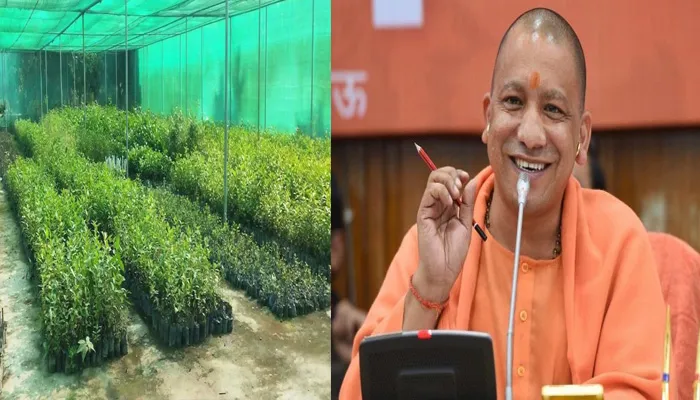 योगी सरकार की नई पहल, मनरेगा योजना से यूपी में बनेंगी 150 हाईटेक नर्सरी