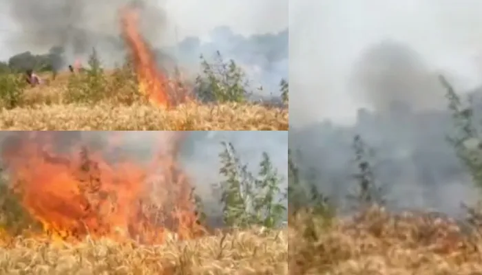 कन्नौज: बिजली का तार गिरने से 8 बीघा फसल में लगी आग, मुआवजे का दिया गया आश्वासन