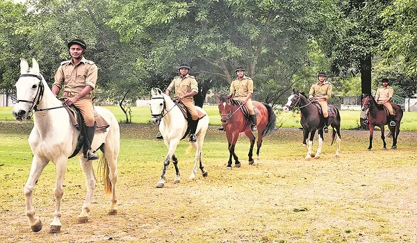 मुरादाबाद : फिर गूंजेगी माउंटेड पुलिस के घोड़ों की टाप, एक माह बाद पूरा होगा प्रशिक्षण