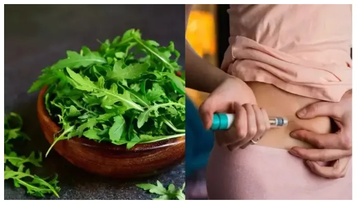 ब्लड शुगर को कंट्रोल करने के लिए इस पौधे का करें उपयोग, डायबिटीज के मरीजों को मिलेगी राहत