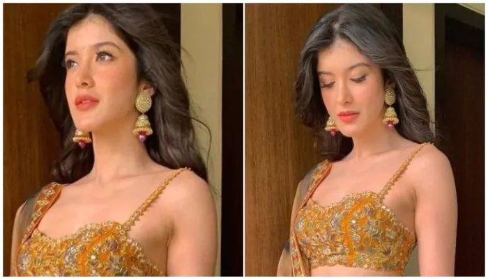 शनाया कपूर ने बोल्ड फोटोशूट से बढ़ाया इंटरनेट का तापमान, फोटो देखकर फैंस के धड़के दिल