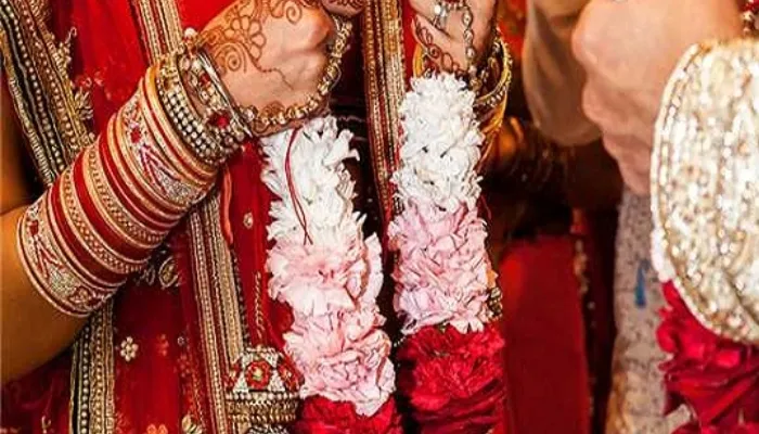 हमीरपुर: जयमाला पहनाते ही दुल्हन ने दूल्हे पर की थप्प‍ड़ों की बरसात, परिजन रह गए हैरान, देखें वीडियो