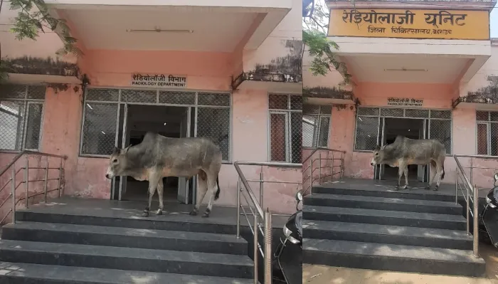 बहराइच: रेडियोलॉजी विभाग के सामने पहुंच गया सांड, मची भगदड़