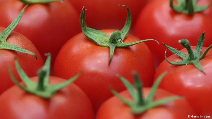 तमिलनाडु-केरल सीमा पर ‘टोमेटो फ्लू’ की हो रही जांच