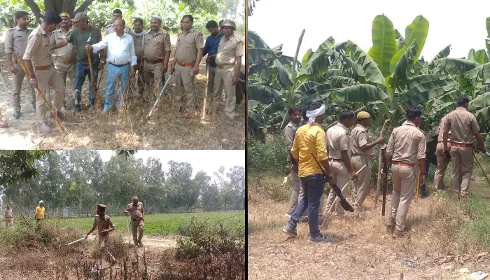 बाराबंकी: दूसरे दिन भी जारी रहा ऑपरेशन तेंदुआ, वन विभाग केले के खेत में छिपे होने की जता रहा संभावना