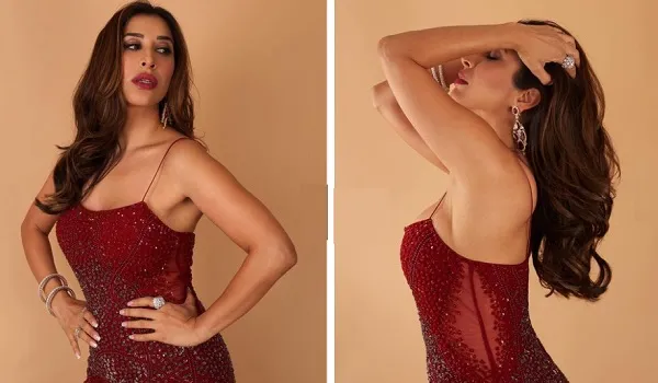 मरून ड्रेस में सोफी चौधरी ने फ्लॉन्ट किए बॉडी कर्व्स, देखिए तस्वीरें