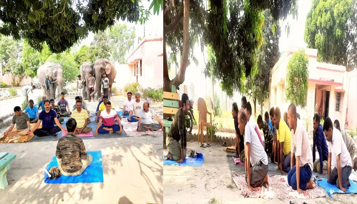 बहराइच: कतर्नियाघाट जंगल के वन कर्मियों को दुरुस्त रखने के लिए सिखाया योग