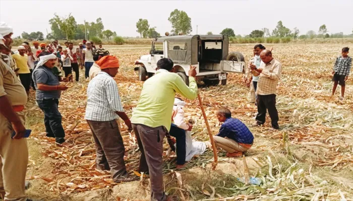बहराइच: गांव में पहुंचे तेंदुए की भूख और गर्मी से हुई मौत, तीन डॉक्टरों का पैनल करेगा पोस्टमार्टम