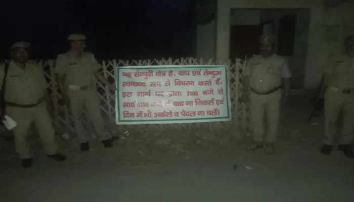 बहराइच: रेंज कार्यालय से 300 मीटर की दूरी पर बाघों में होता रहा संघर्ष, मौत के बाद वन विभाग को हुई जानकारी