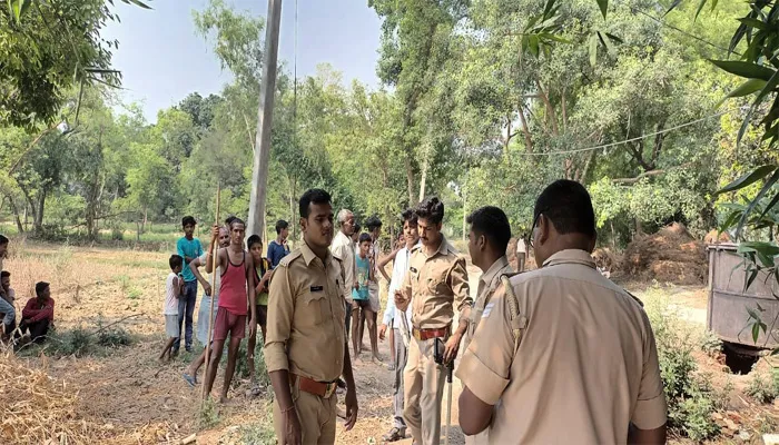 बाराबंकी: केले के खेत में दिखा तेंदुआ, ग्रामीणों में दहशत