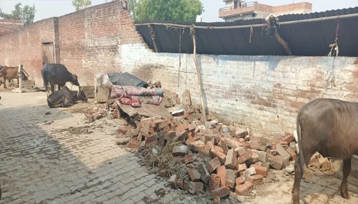 बाराबंकी: आंधी तूफान से गिरी दीवार, बुजुर्ग घायल
