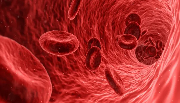 सूजन से लेकर बदन दर्द तक, जानें किस वजह से सही से नहीं होता Blood Circulation