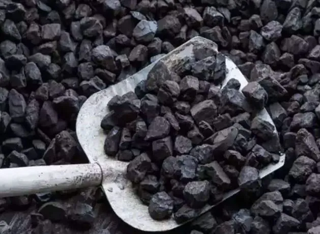 चंडीगढ़: एआईपीईएफ ने कोयला संकट की जांच कराने की मांग की