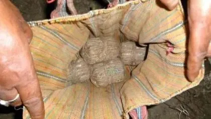 पश्चिम बंगाल में पुलिस ने सौ से अधिक जिंदा बम किये बरामद, जांच अभियान के दौरान मिली सफलता