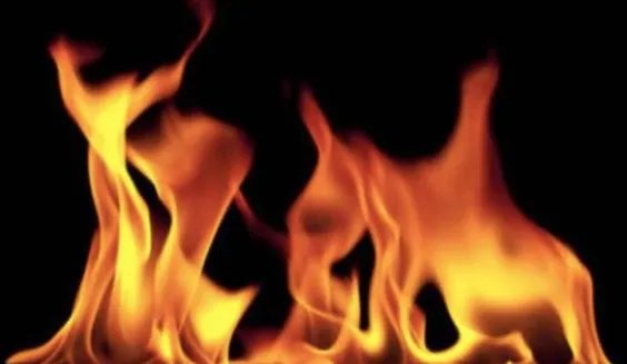 पीलीभीत: दियूरिया जंगल में लगी आग, दो हेक्टेयर एरिया चपेट में